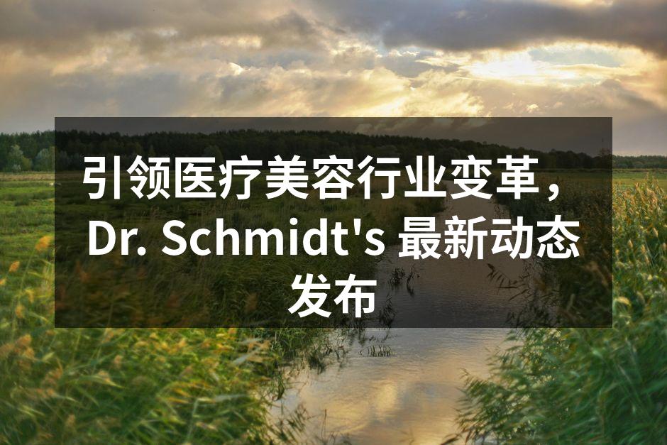 引领医疗美容行业变革，Dr. Schmi